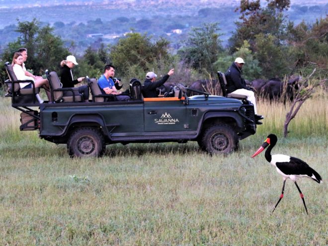 Savanna Private Game Reserve - 2019